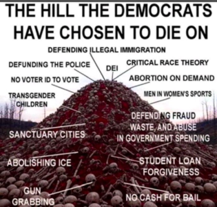 1756220601724.png