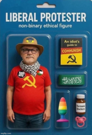 1756221526621.png