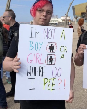 1756225293338.png