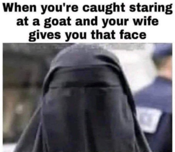 1756226694370.png