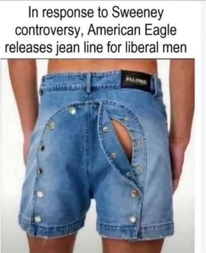 1756229493678.png