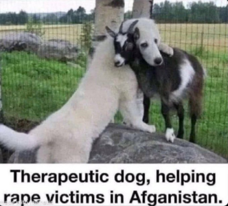 1756236486733.png