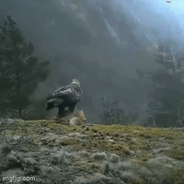 20250821_092842.gif