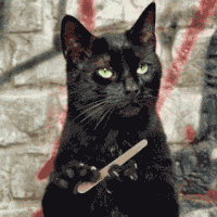 IMG_1761.gif