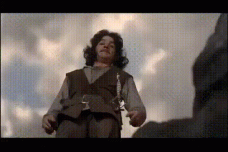 SeJ9QF9.gif