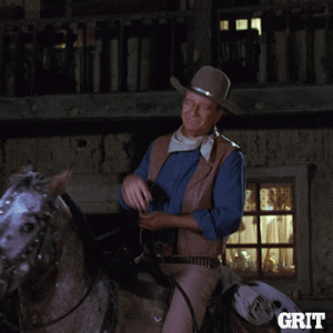 1756404864242.gif