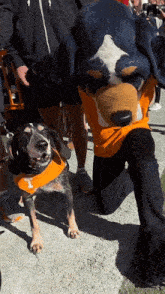 IMG_1584.gif
