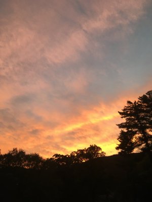IMG_0304.jpeg