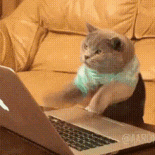 IMG_4883.gif
