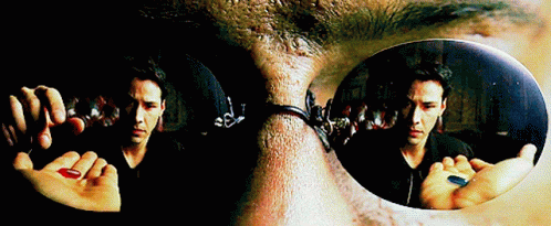 red-pill-vista-4248785810.gif