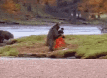 1756516959381.gif