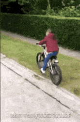 bike-crash.gif