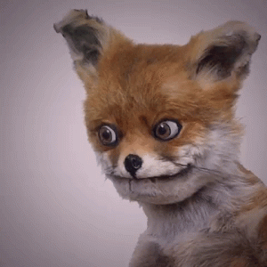 IMG_1814.gif