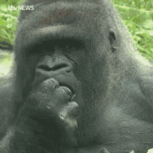1000002911.gif