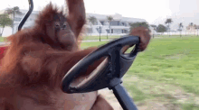 1756592778413.gif