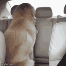 1756620822069.gif