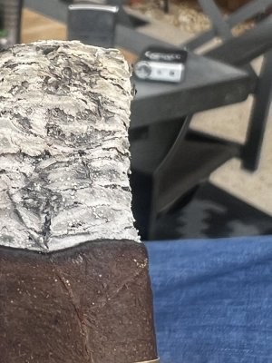 IMG_3473.jpeg