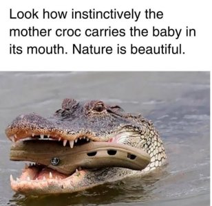 IMG_4307.jpeg