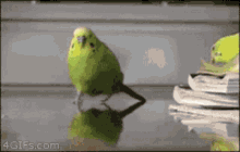 boom-bomb (1).gif