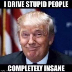 stupidinaaine.jpg