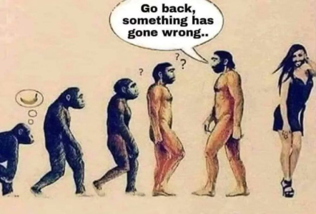 1756838735606.png