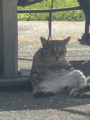 20250825_165108.jpg