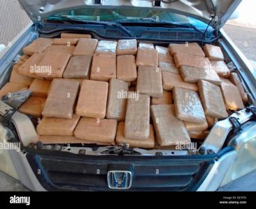 packages-of-marijuana-packed-into-the-engine-compartment-of-a-vehicle-FJC97G.jpg