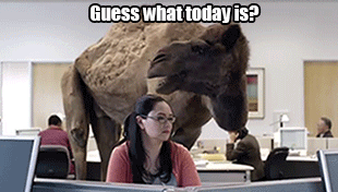 1756942057484.gif
