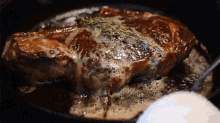 steak-meat.gif