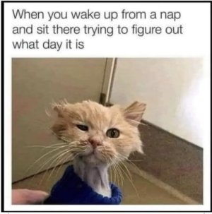IMG_1360.jpeg