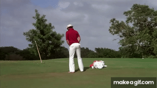 IMG_2884.gif