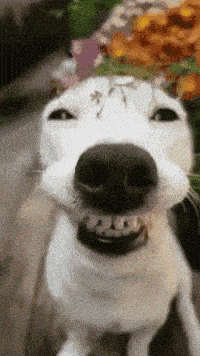 1757176384129.gif