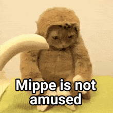 IMG_9217.gif
