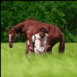 1757210998833.gif