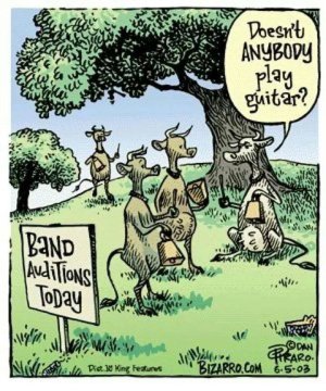 Cowbell humor.jpg