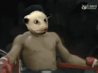 20250908_144011.gif