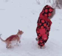 1757370363002.gif