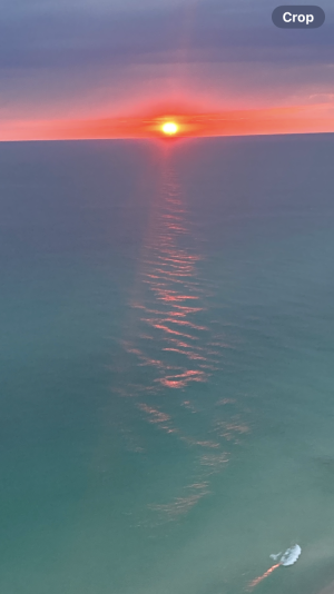 IMG_0169.png