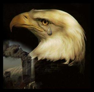 eagle_tear.jpg