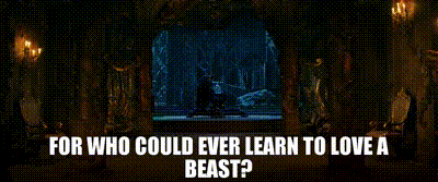 6e6a69a7-de29-4904-98ef-36e99f6017da_text-39531101.gif