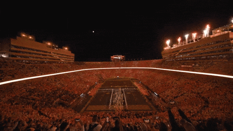 20250910_135239.gif