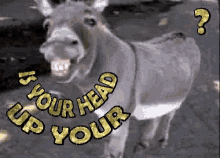 IMG_1606.gif