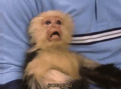 1000000844.gif