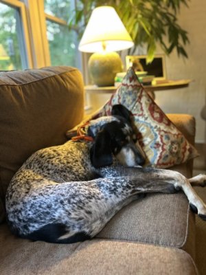 IMG_2709.jpeg
