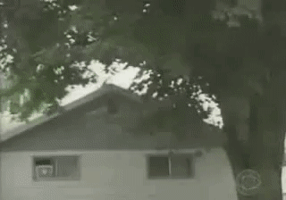 20250909_142136.gif