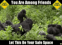 IMG_9323.gif