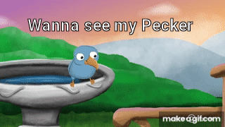 IMG_2135.gif