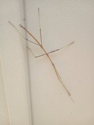 IMG_20250918_133123928.jpg