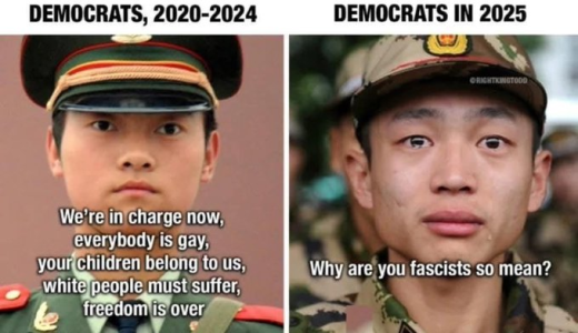 1758295323027.png