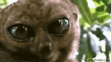 1758299953442.gif